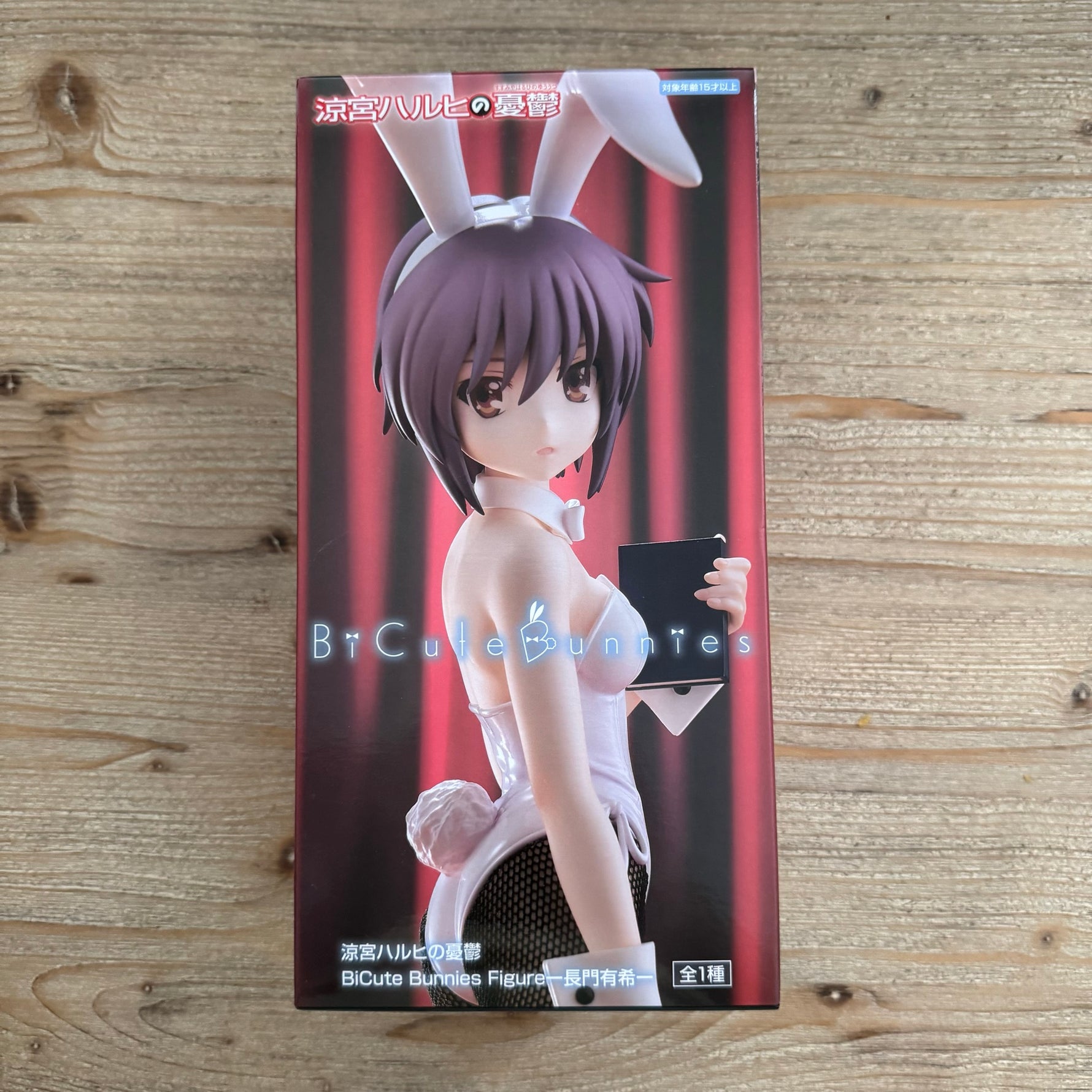 Figurine Haruhi Suzumiya – BiCute Bunnies – Nagato Yuki – avant