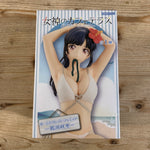Figurine Ami Tsuruga - Goddess Cafe Terrace - Noodle Stopper - PVC – avant
