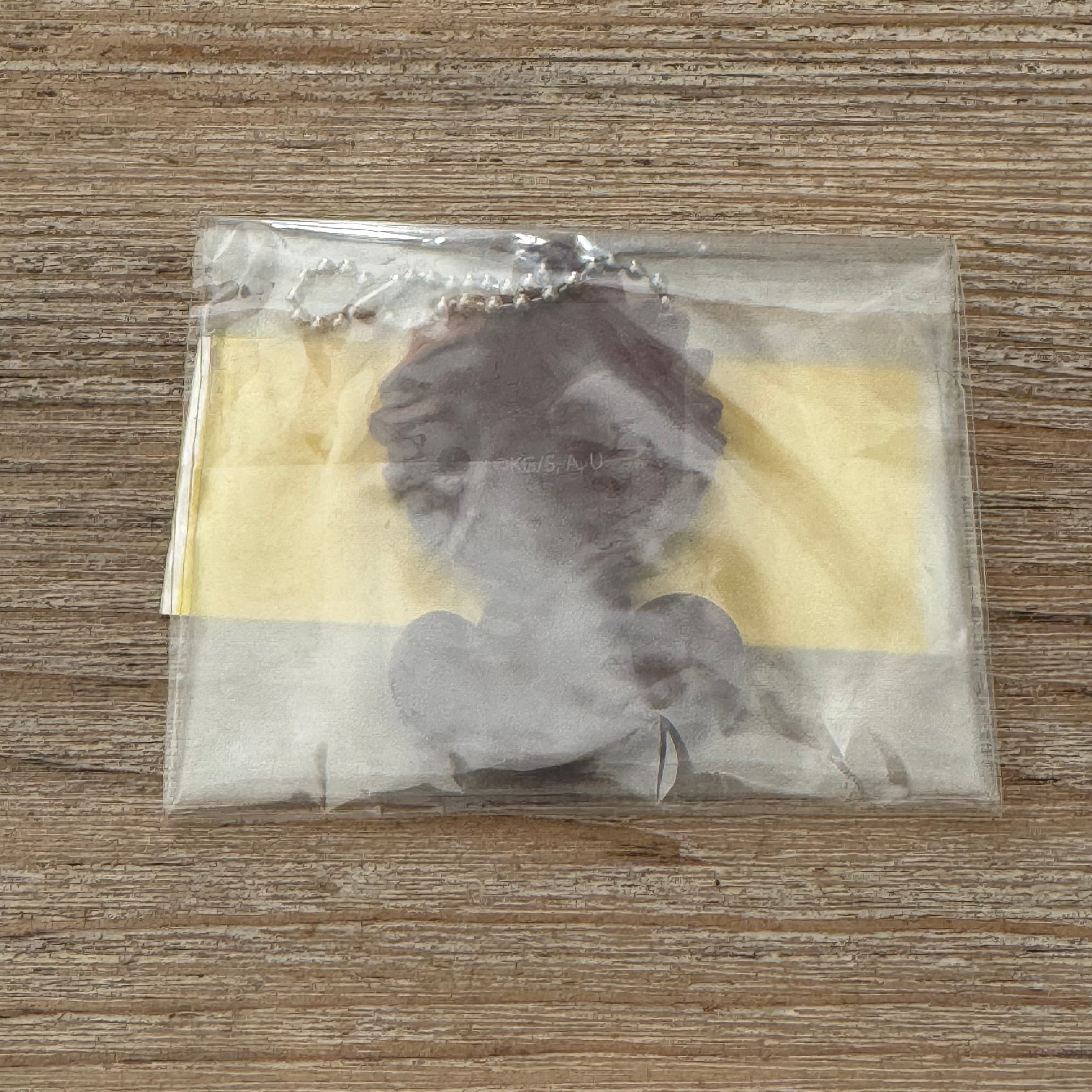 Texte alternatif de l'image